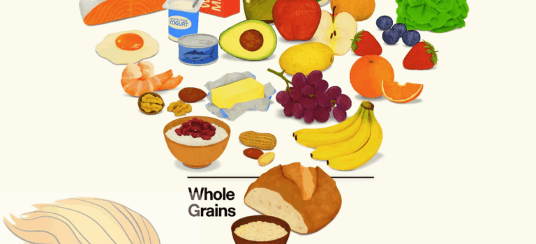 Op 7 januari jl presenteerde Amerika de herziene voedingsrichtlijnen. Ze hebben de voedselpiramide letterlijk op zijn kop gezet!